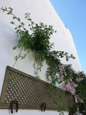 Jardín al aire libre en Lala´s house