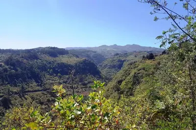 Paisaje cerca of this country house