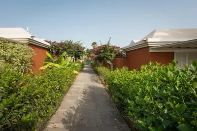 Jardín al aire libre en Bungalow en Maspalomas, Los Melocotones