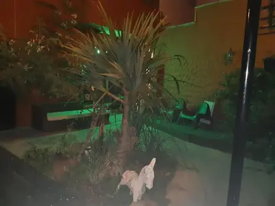 Jardín al aire libre en Casa rural el Burro