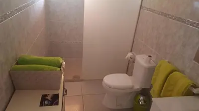 Un baño de Casa Reyes Fataga Apta Reyes
