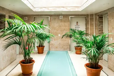 Plano de Hostel Poseidon - HM