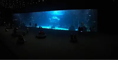Clientes alojados en Las Canteras Aquarium