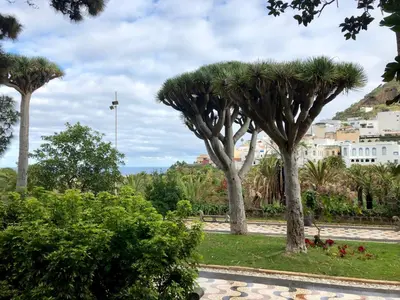 Jardín al aire libre en Loft Gran Canaria
