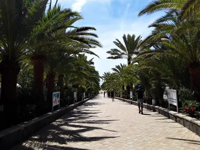 Plano de Avenida Tirajana Nº3