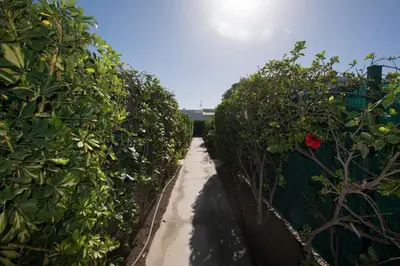 Paisaje cerca de este apartamento