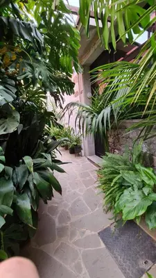 Jardín al aire libre en Cho Almeida