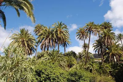 Paisaje cerca of this country house
