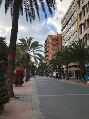El barrio de los alrededores o un barrio cerca de este apartamento