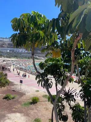 Plano de Puerto Rico New 2 bedroom Apart