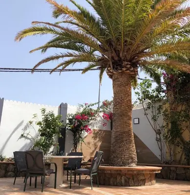 Jardín al aire libre en Villa Beatriz