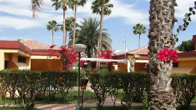 Jardín al aire libre en Bungalows Artemisa Gay Men Only