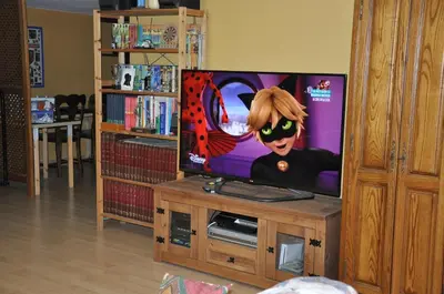 Una televisión o centro de entretenimiento en Bonita casa cálida para el relax con wifi