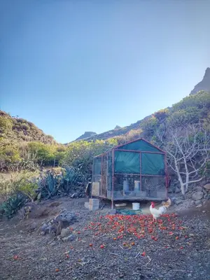 Paisaje cerca of this country house