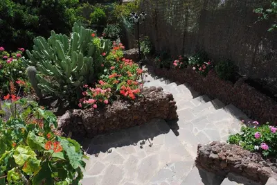 Jardín al aire libre en Casa Rural El Olivar - La Almazara