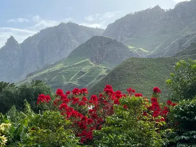 Paisaje cerca of this country house