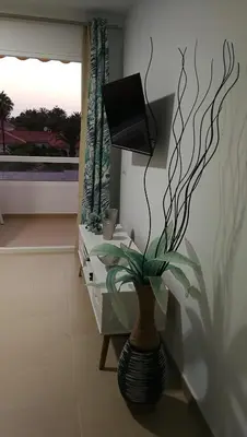 Una televisión o centro de entretenimiento en Aloe Heaven
