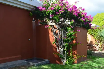 Jardín al aire libre en The Peaches Bungalows 45 & 46