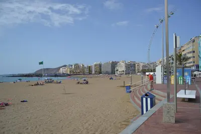 Playa de o cerca de este apartamento