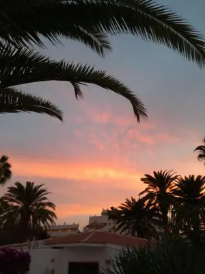 Amanecer o atardecer desde el apartamento o alrededores