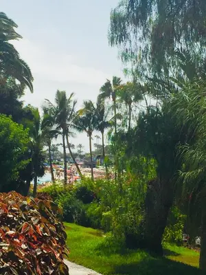 Paisaje cerca de este apartamento