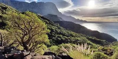 Paisaje cerca de este apartamento