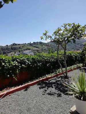 Paisaje cerca de este apartamento