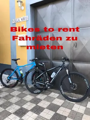 Montar en bicicleta en Charming house in Teror with garden o alrededores