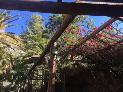 Jardín al aire libre en La Casa del Molino de Viento