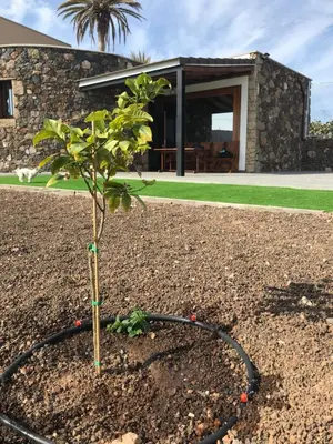 Jardín al aire libre en Casa de Los Alberconcillos