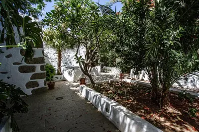 Jardín al aire libre en Casa Patio Canario SXVII