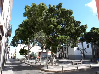 Plano de La Casa de Vegueta