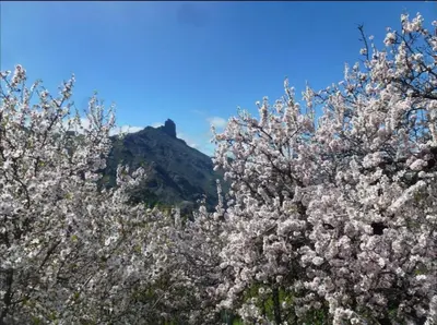 Paisaje cerca of this country house