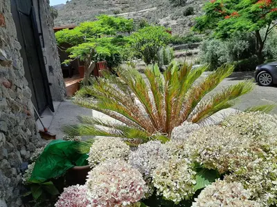 Jardín al aire libre en Peaceful house set on a vineyard & work friendly
