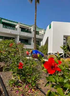 Jardín al aire libre en Beautiful Apartment Aguycan Beach 120 Playa del Aguila Maspalomas Gran Canaria