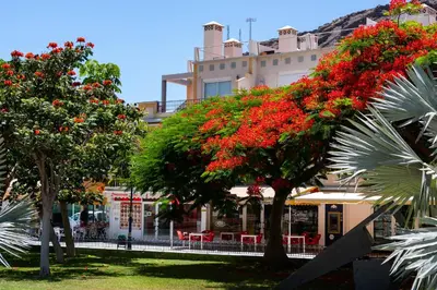 Jardín al aire libre en MISTRAL-20