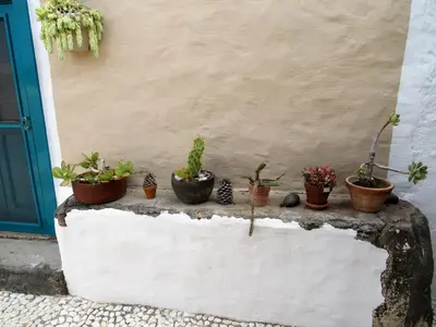 Plano de vivelorural Casa en risco de agaete con piscina