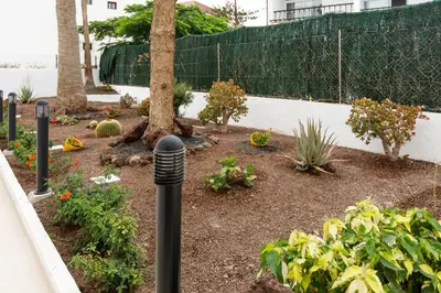 Jardín al aire libre en Alsol Guatiza