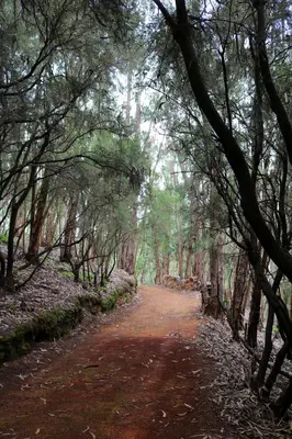 Paisaje cerca of this country house