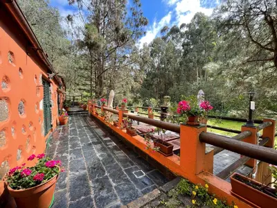 Jardín al aire libre en Casa Rural en medio del bosque, El Lance