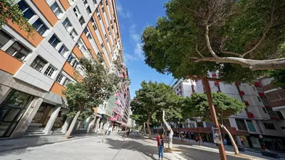 El barrio de los alrededores o un barrio cerca de este apartamento
