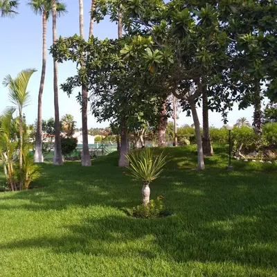 Jardín al aire libre en Villa maravillosa