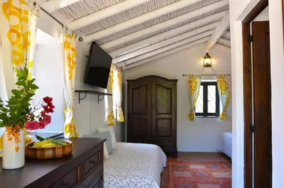 Una televisión o centro de entretenimiento en Finca Las Olivas - Unique country house with heated pool