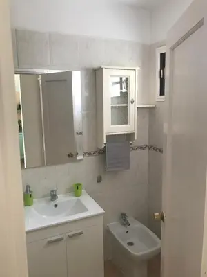 Un baño de COXINELLA