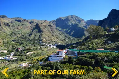 Paisaje cerca de este apartamento
