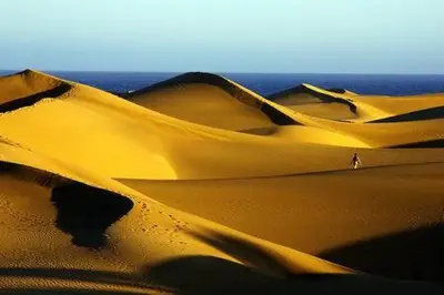 Paisaje cerca de este apartamento