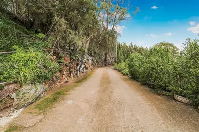 Paisaje cerca de este apartamento