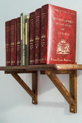 Biblioteca en el apartamento