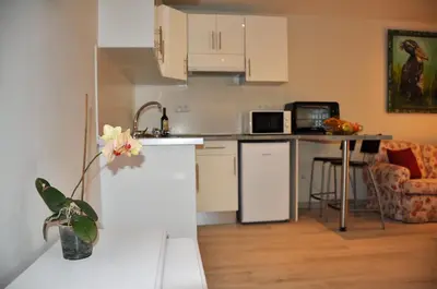 Una cocina o zona de cocina en Villa Alegria