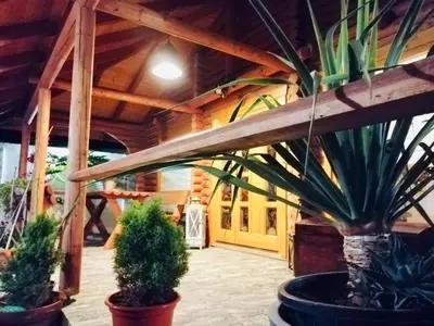 Jardín al aire libre en Wild House